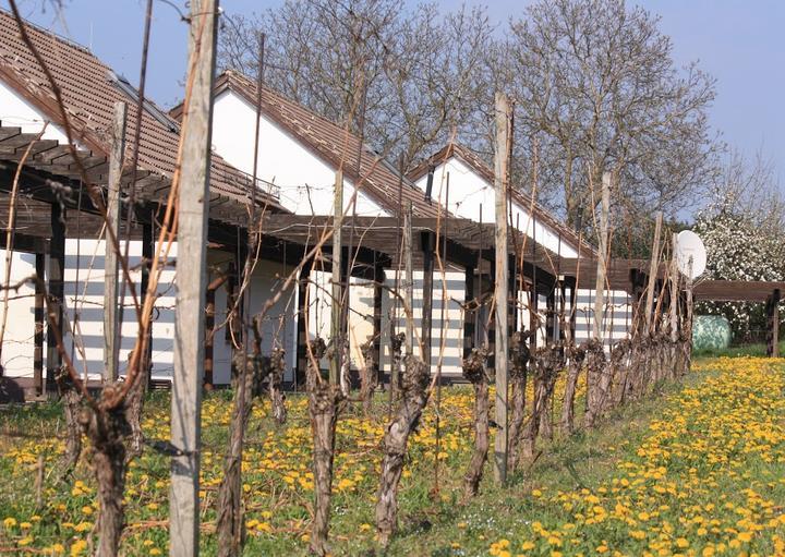 Max-Klinger-Weinberg Café & Ferienhäuser